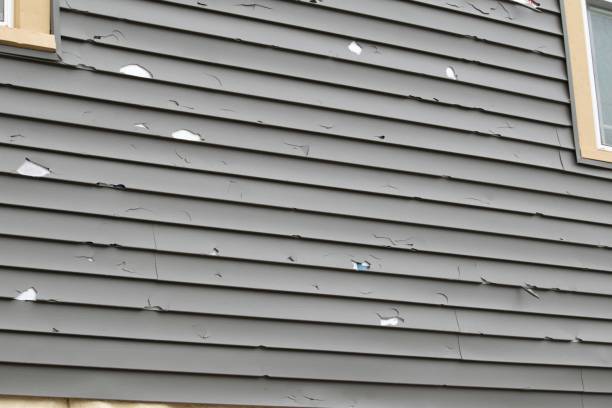 Affordable siding repair and maintenance services in Salamatof, AK