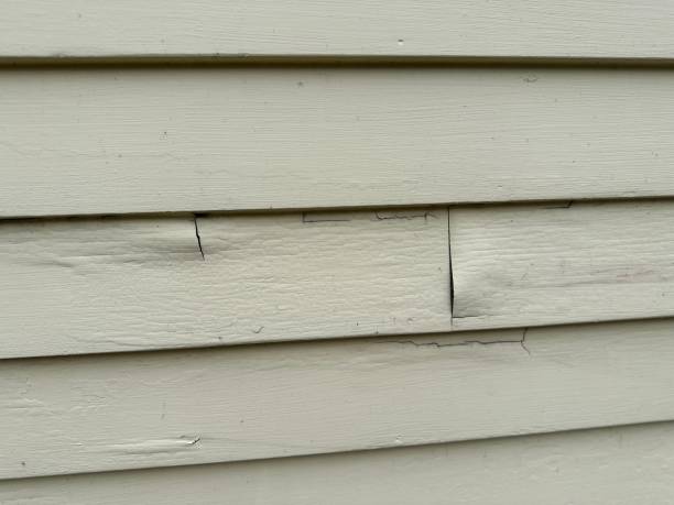 Storm Damage Siding Repair in Salamatof, AK